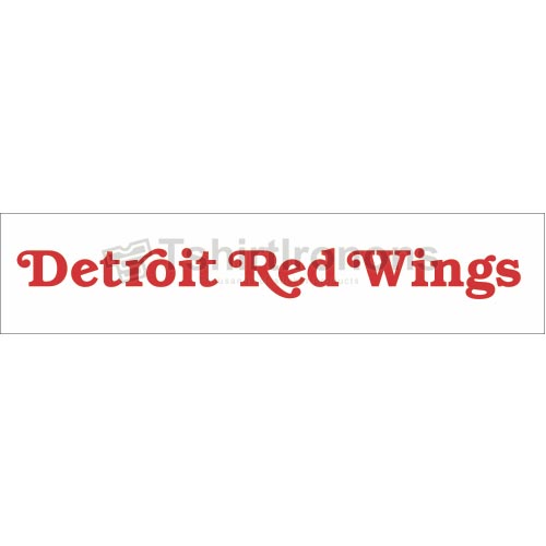 Detroit Red Wings T-shirts Iron On Transfers N138 - Click Image to Close